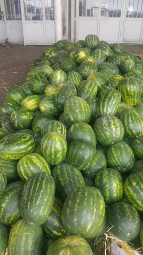 بازار میوه و تره بار مرکزی تبریز