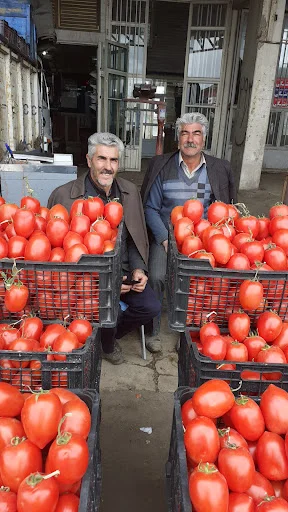 بازار میوه و تره بار مرکزی تبریز
