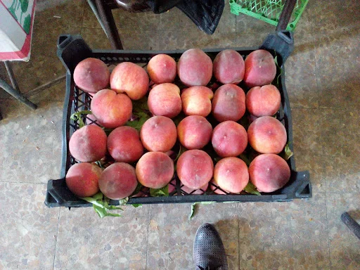 بازار میوه و تره بار مرکزی تبریز