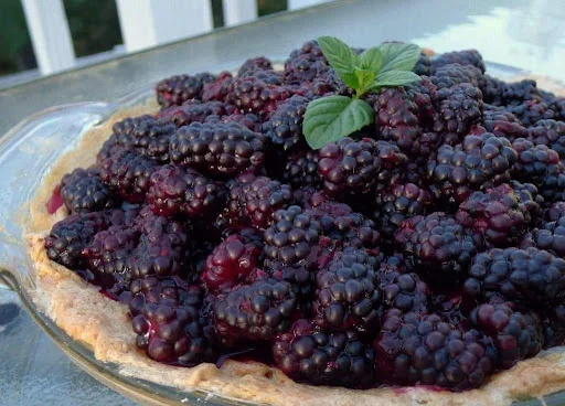 بازار میوه و تره بار مرکزی تبریز