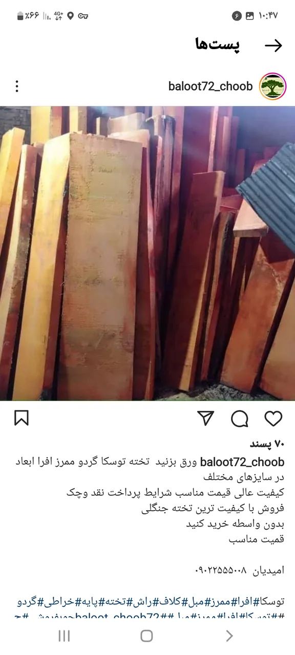 چوب فروشی خانی(آویار چوب) - تصویر 5