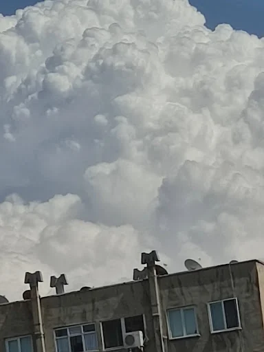 میدان میوه و تره بار شهید صمدی - تصویر 6