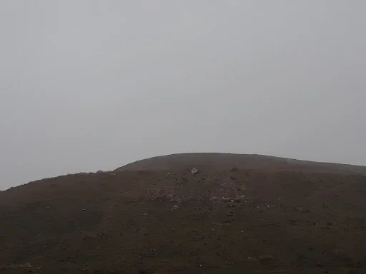 فروشگاه مرغ و ماهی دوستی