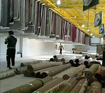 قالیشویی مهدی