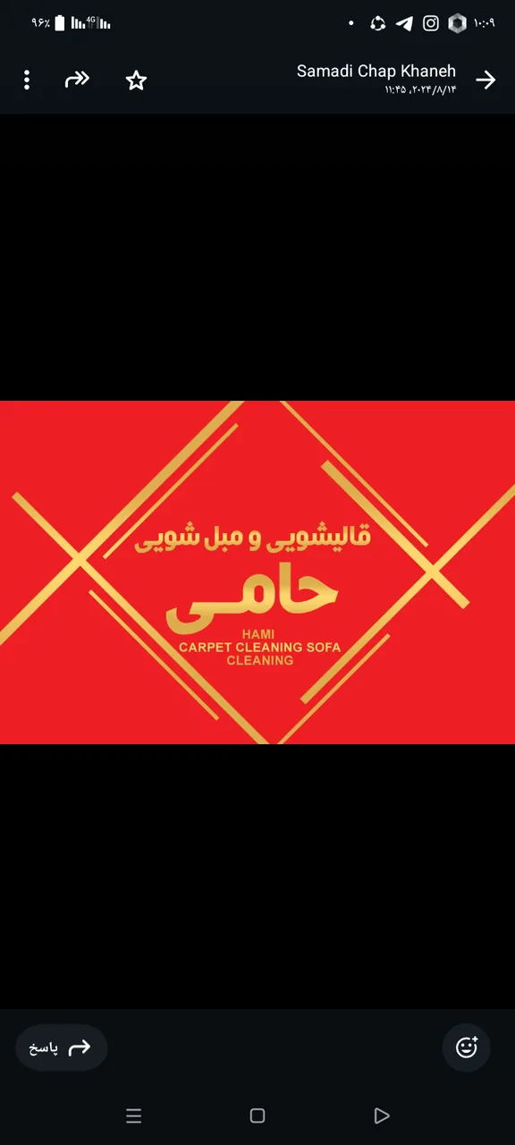 قالیشویی و مبل شویی حامی - تصویر 3