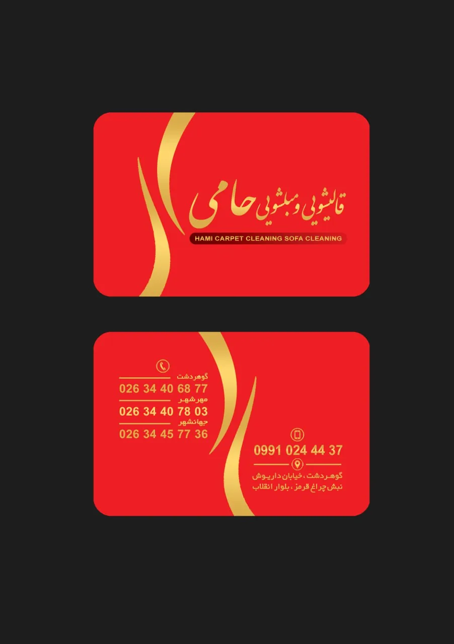 قالیشویی و مبل شویی حامی - تصویر 6