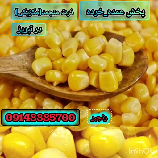 پروتئین امیر