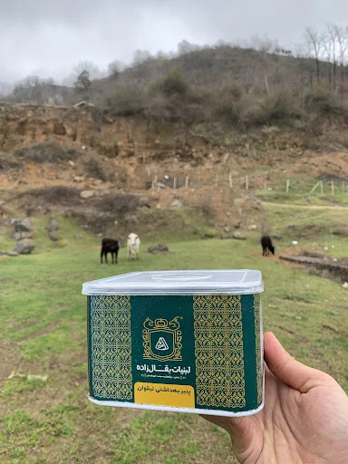 لبنیات بقال زاده