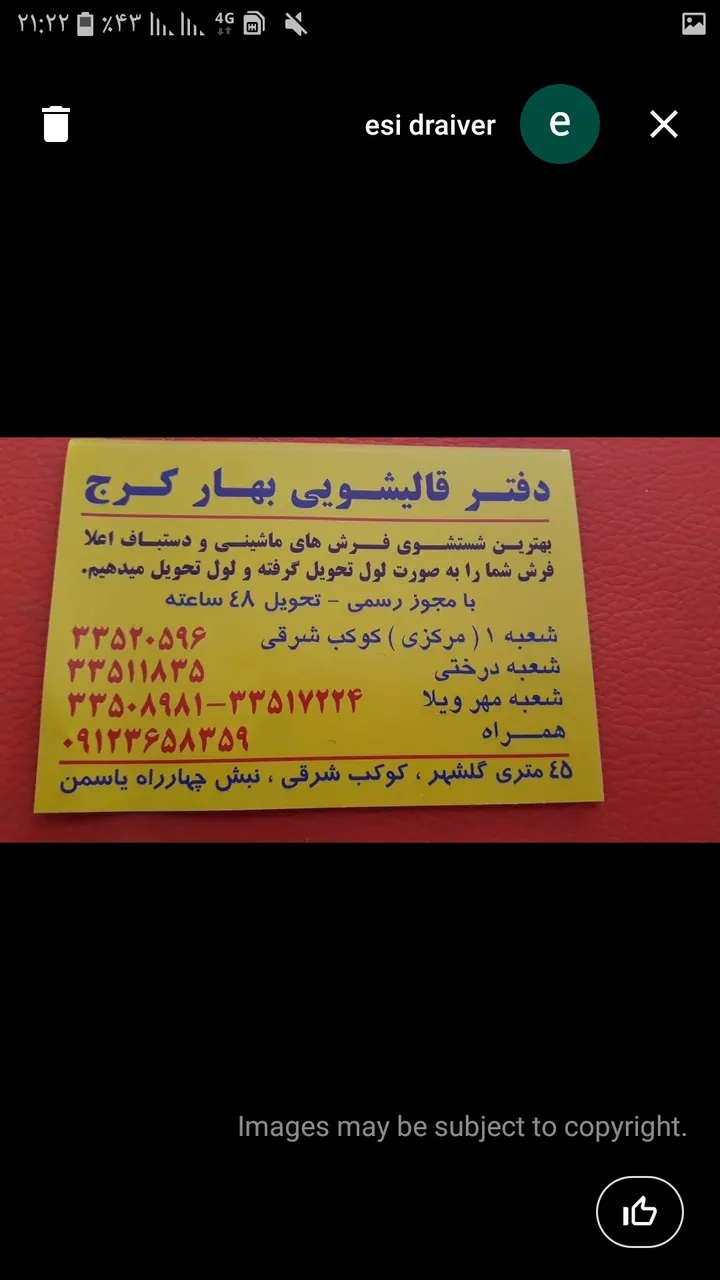 قالیشویی بهار - تصویر 2