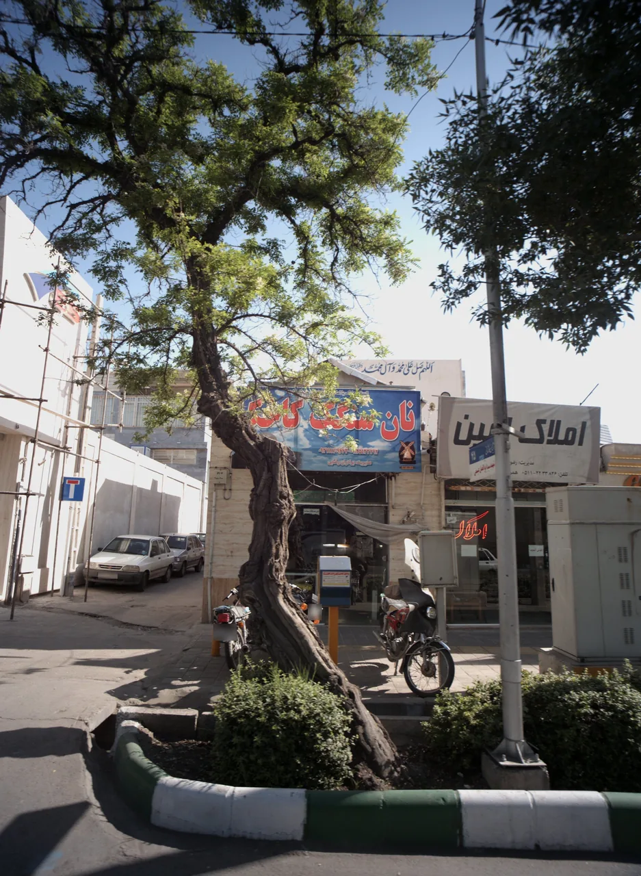 نان سنگک کاخک