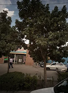 مجتمع نان شادی