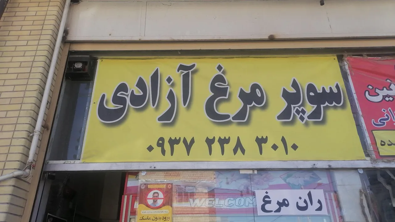 مرغ فروشی و پخش مرغ آزادی - تصویر 4