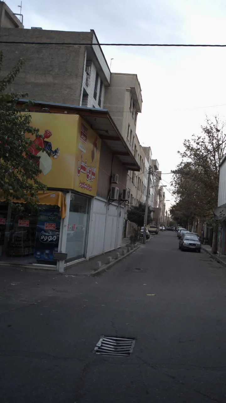 سوپر پروتئینی علی کاشانی