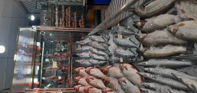 سوپر پروتئین مرادی