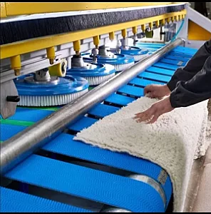 قالیشویی بهتا