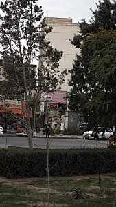 تاکسی سرویس پایتخت