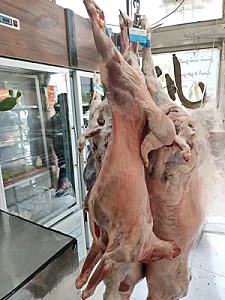 سوپر گوشت غزال