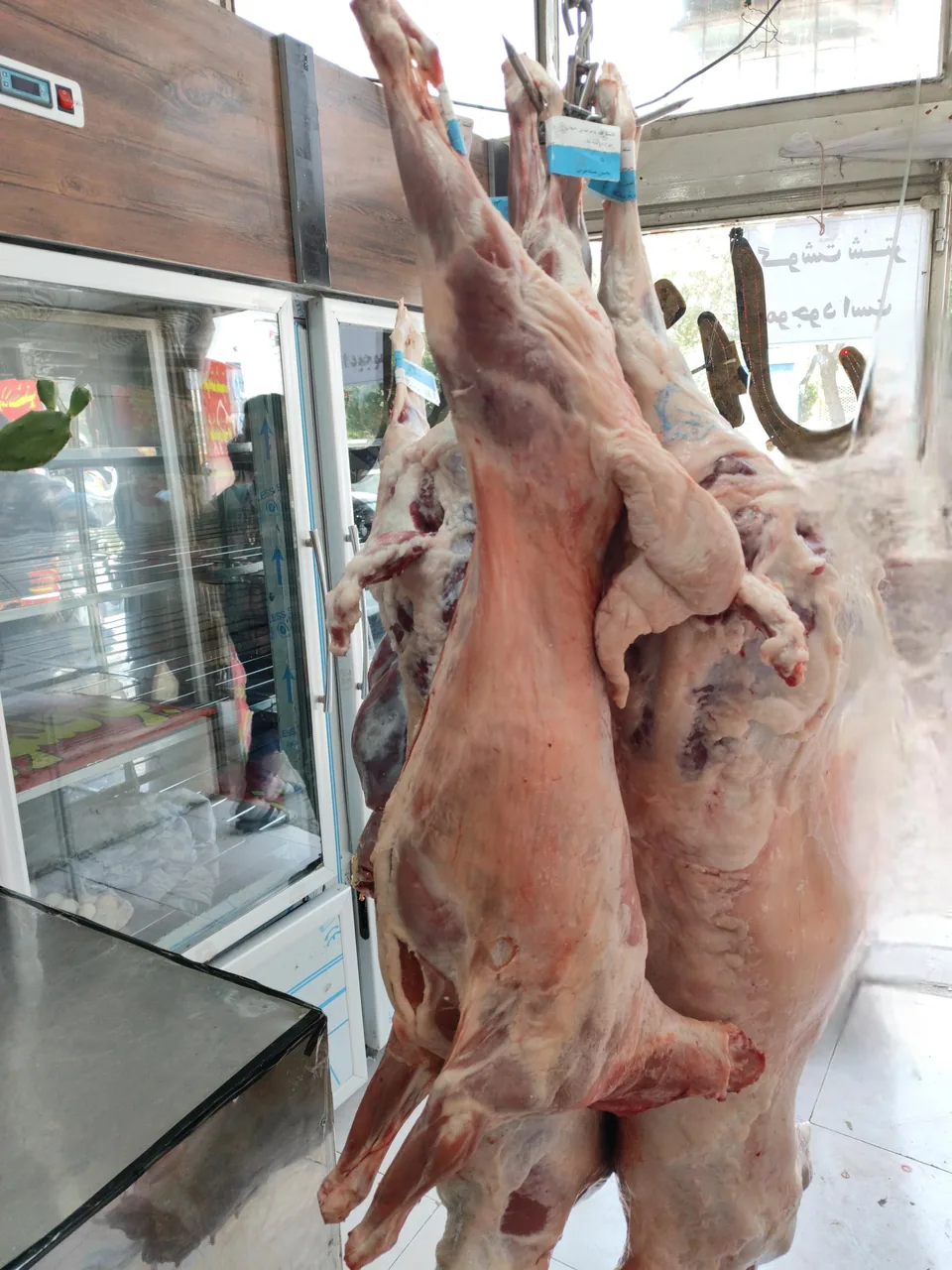 سوپر گوشت غزال