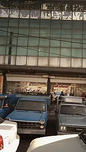 بورس انواع وانت صدف