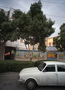 دبستان پسرانه غیر دولتی طلوع خرد