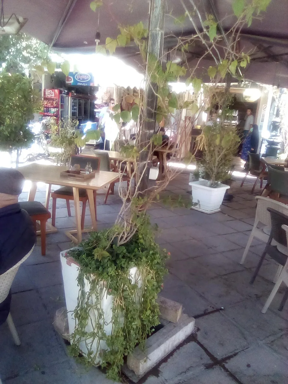 خانه فرهنگ وکیل - تصویر 5