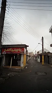 پاچینی آلفا