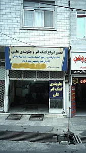 جلوبندی وکمک فنر علی