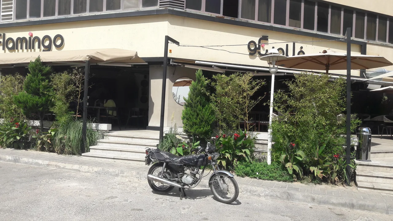 کافه فلامینگو - تصویر 5