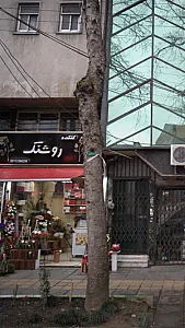 گلکده روشنک