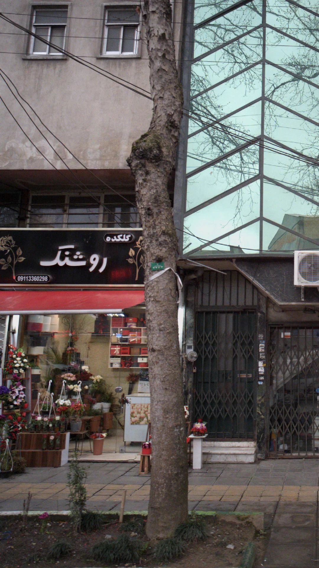 گلکده روشنک