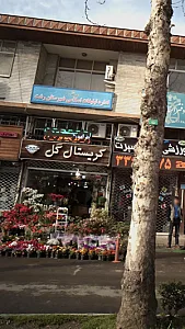 کریستال گل