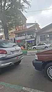 گل مینا