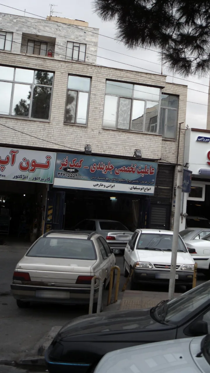 عاملیت تخصصی جلوبندی