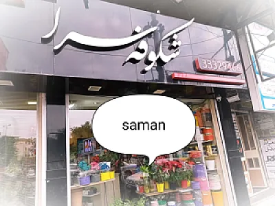 شکوفه سرا