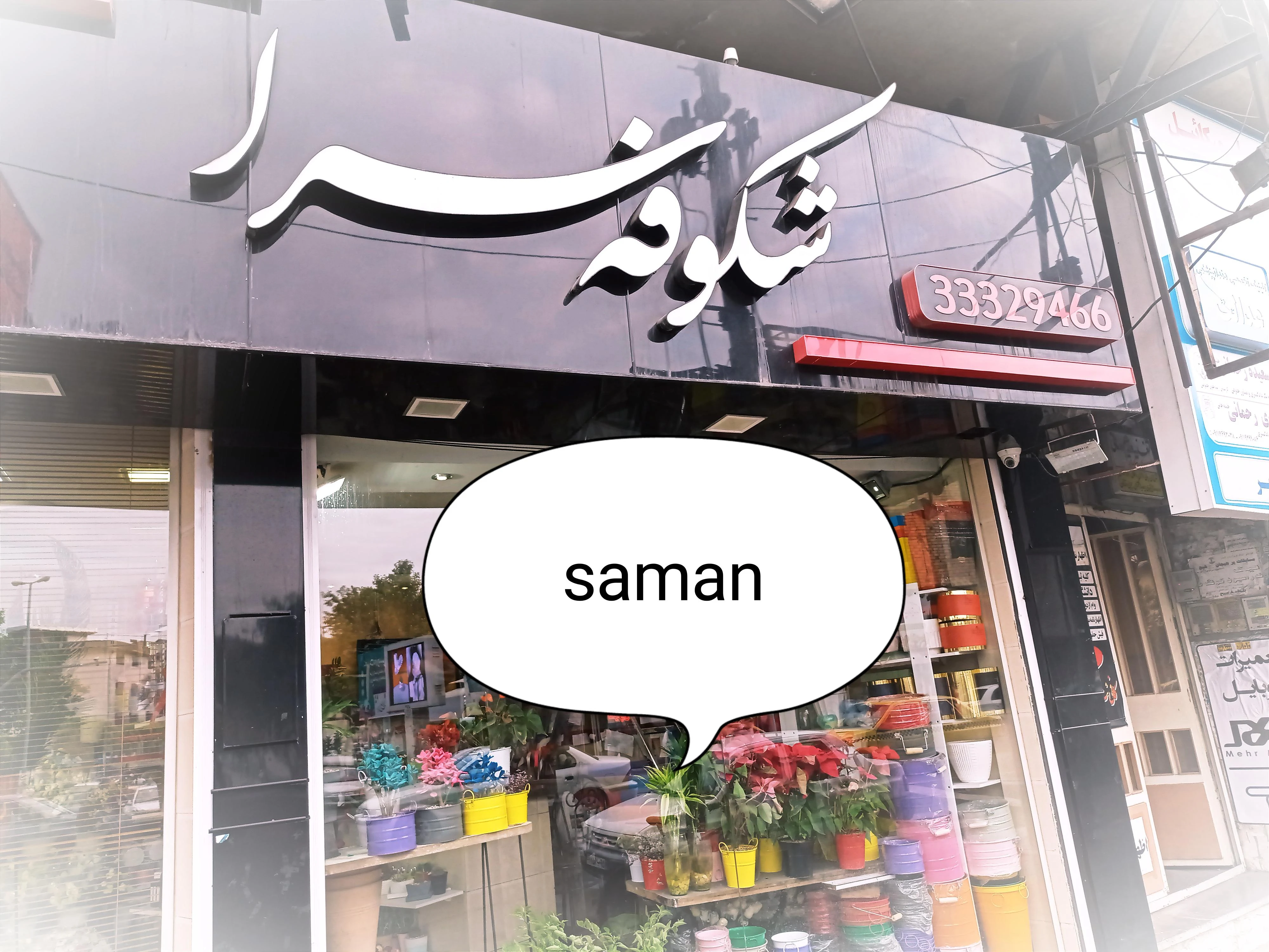 شکوفه سرا