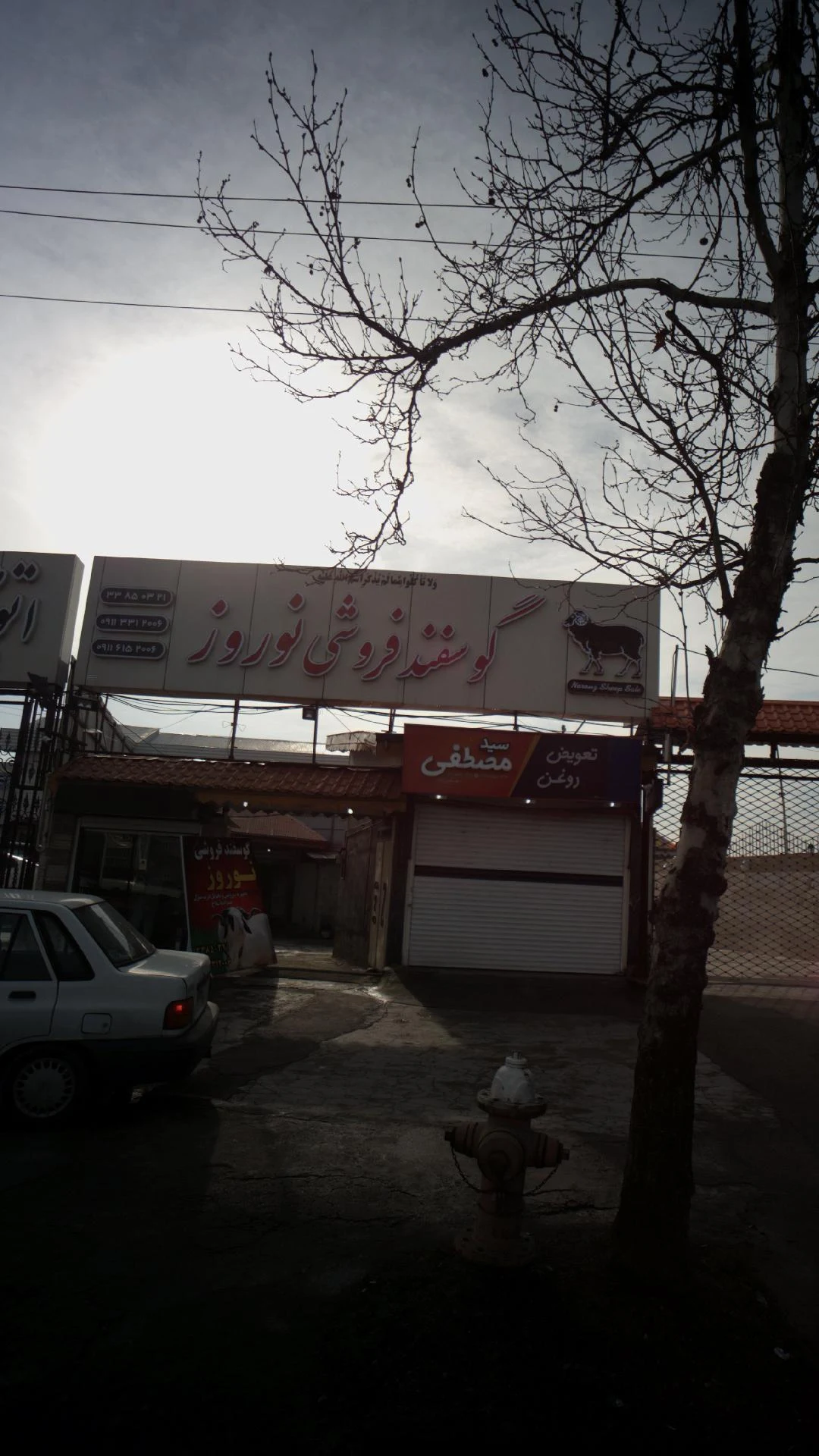 گوسفند فروشی نوروز