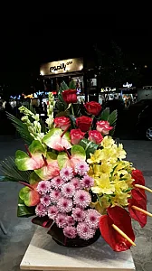 گلهای وطن آبادی
