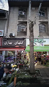 گلهای بهاری