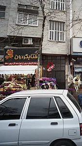 گل آفتابگردون