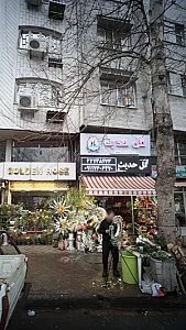 گل حدیث