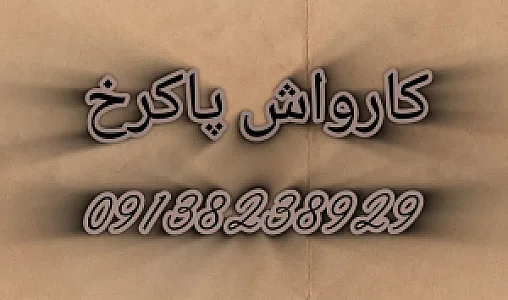 کارواش پاک رخ