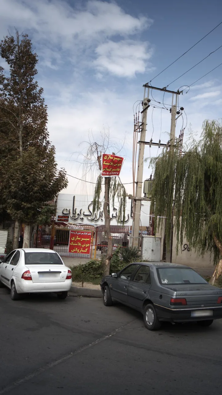 کارواش پویان
