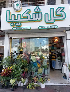 گل شکیبا