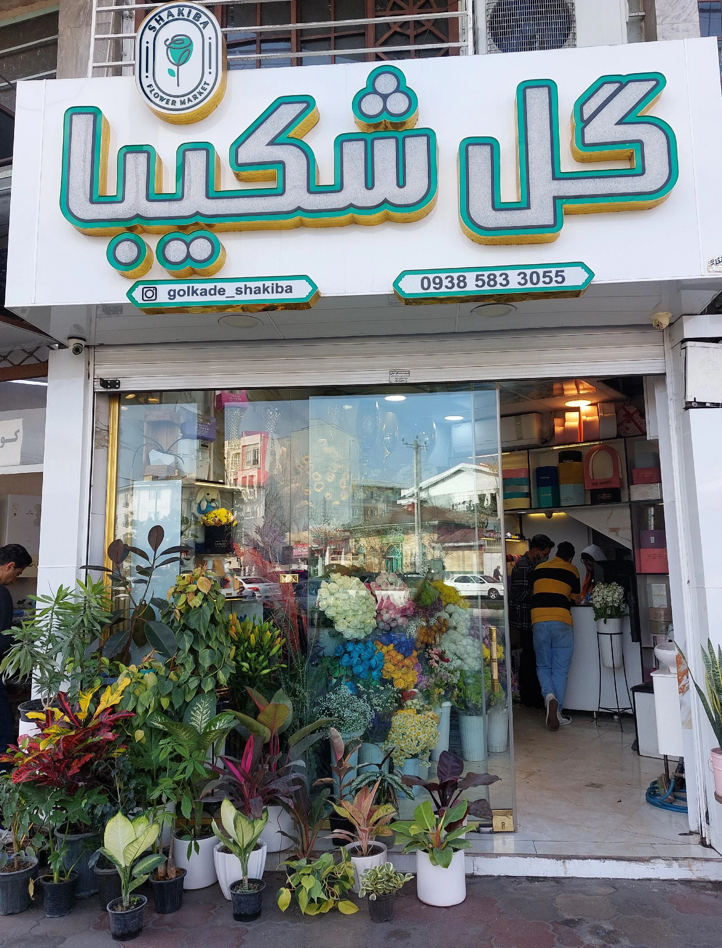 گل شکیبا