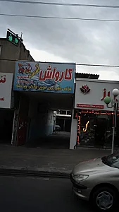 کارواش آنست