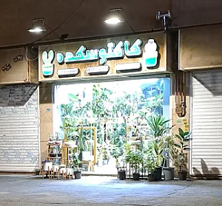 کاکتوسکده