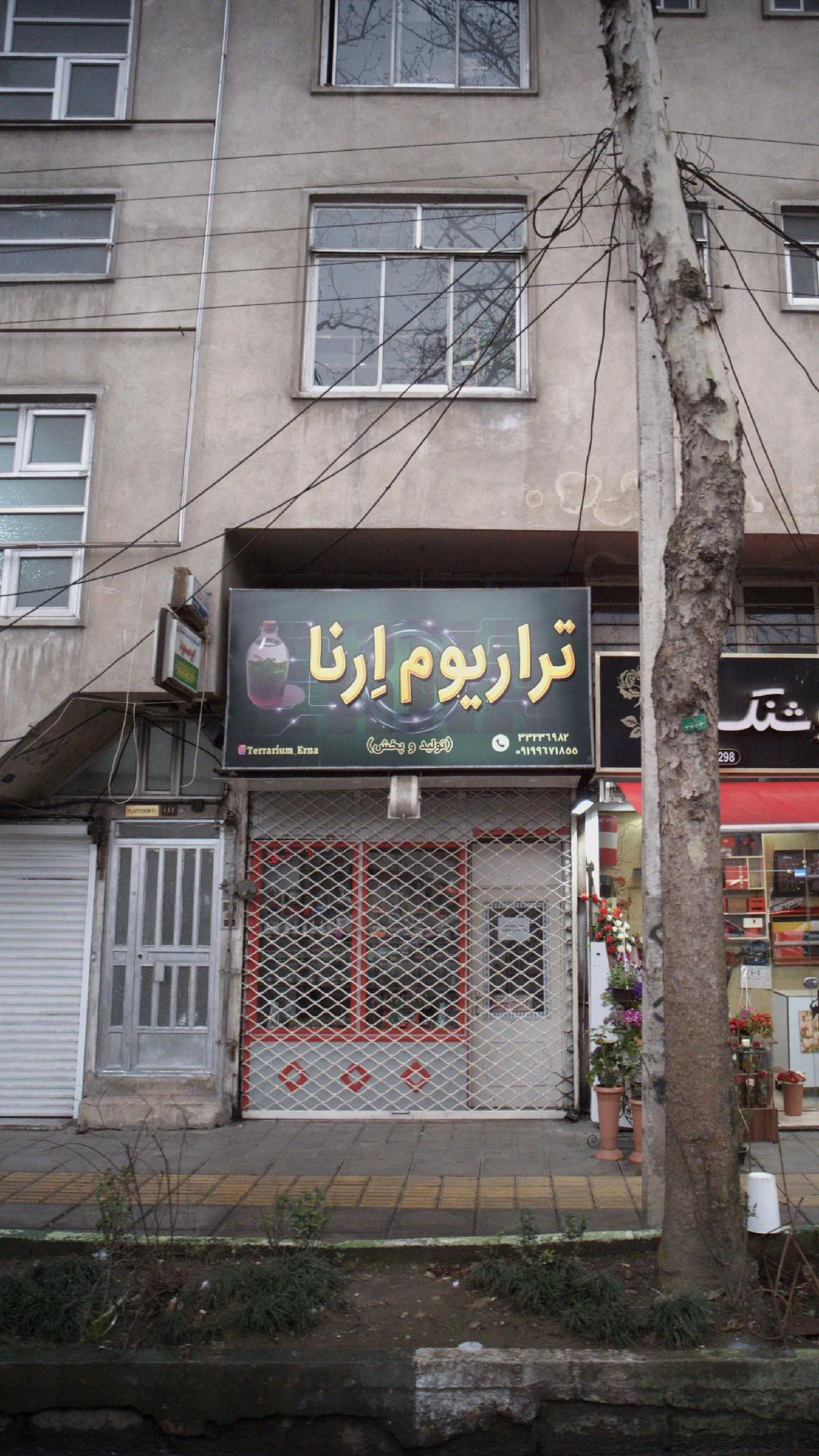 تراریوم اِرنا