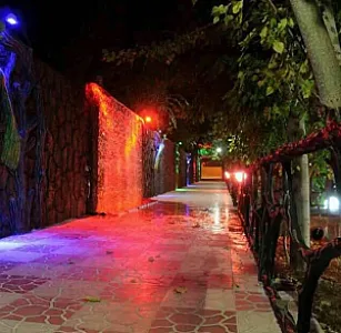 کافه جنگلی