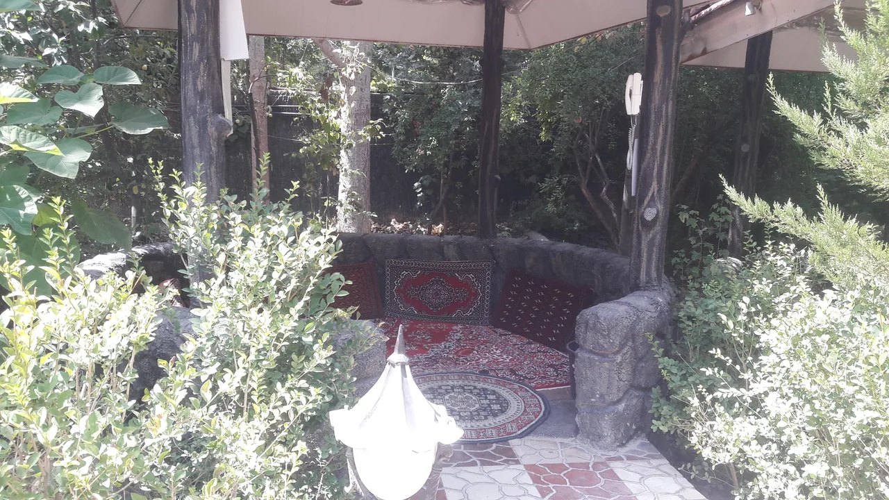 کافه جنگلی - تصویر 2