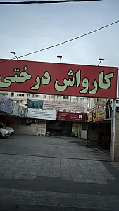 کارواش درختی
